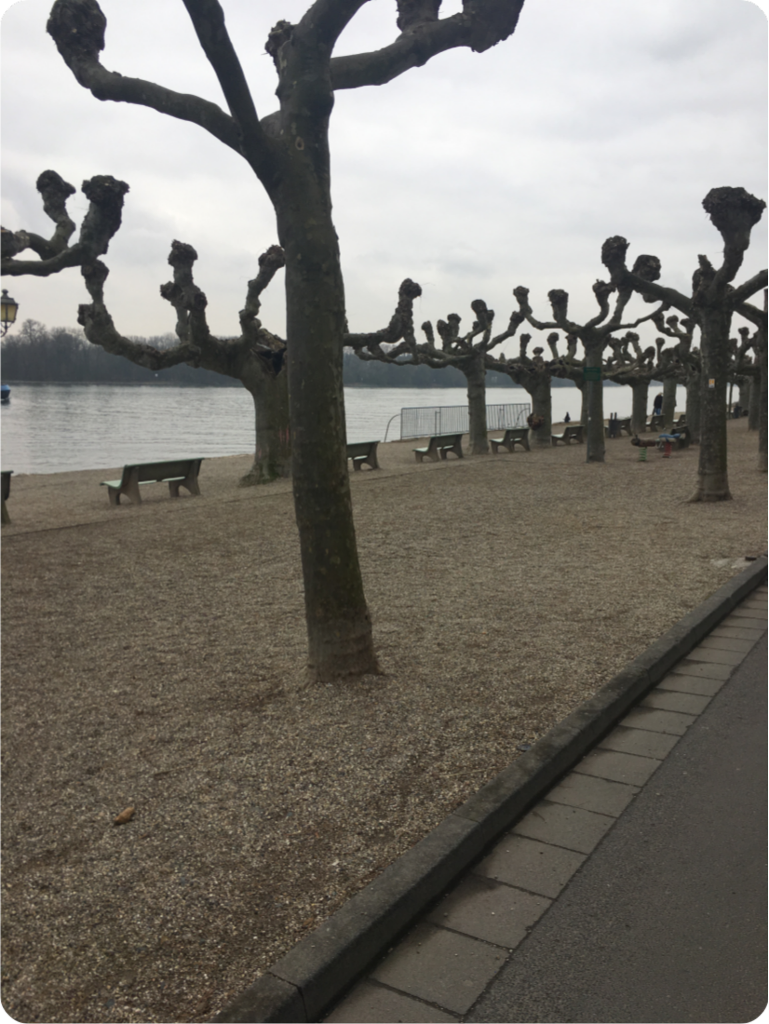 Along the Rhein River