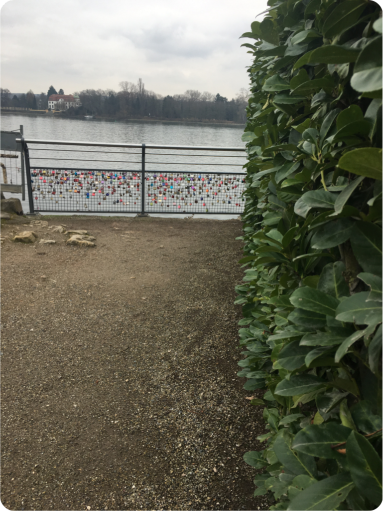 Lockets on a Fence in Eltville