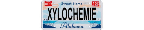 License Plate Mockup